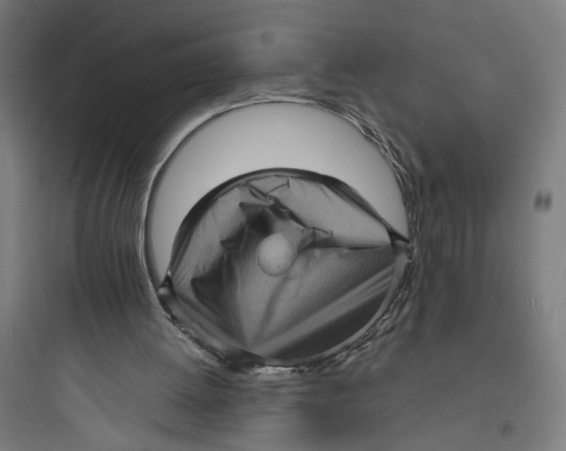 X0000093730052200711061010