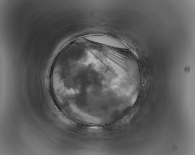 X0000093730053200711061010