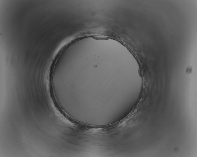 X0000093730054200711061010