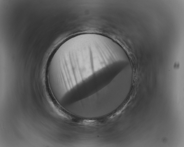 X0000093730055200711061010