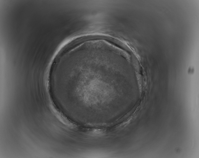 X0000093730056200711061010