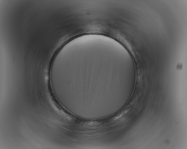 X0000093730059200711061010