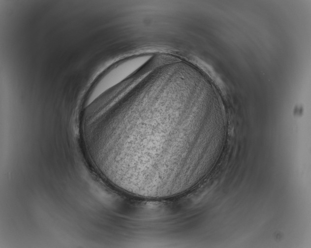 X0000093730060200711061010