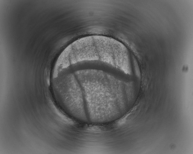 X0000093730062200711061010