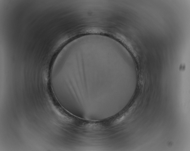 X0000093730063200711061010