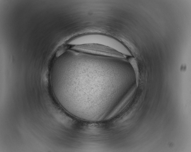 X0000093730064200711061010