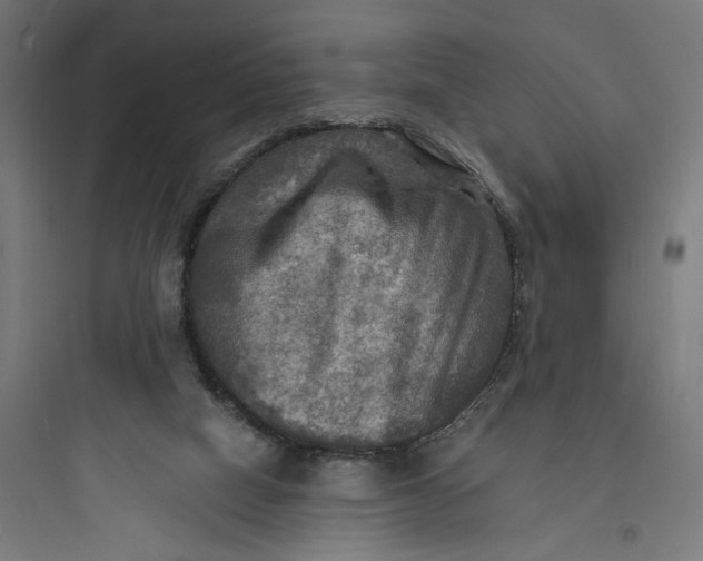 X0000093730066200711061010