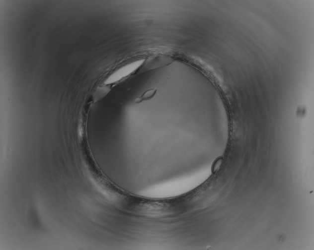 X0000093730069200711061010