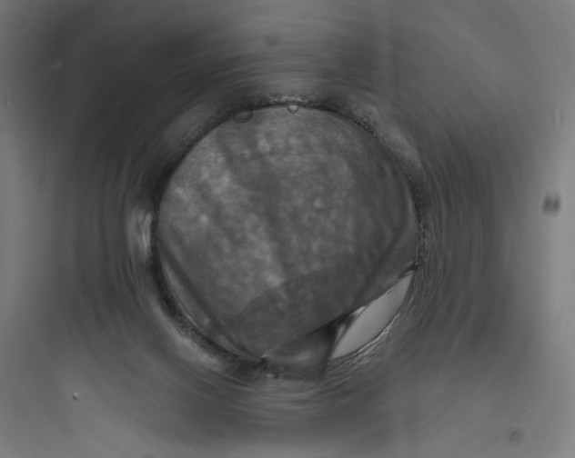 X0000093730070200711061010