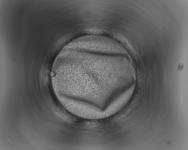 X0000093730071200711061010