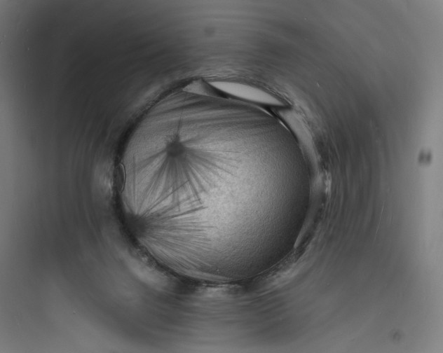 X0000093730072200711061010