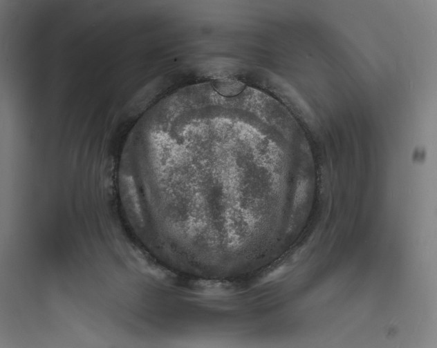 X0000093730073200711061010