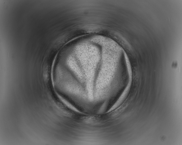 X0000093730074200711061010