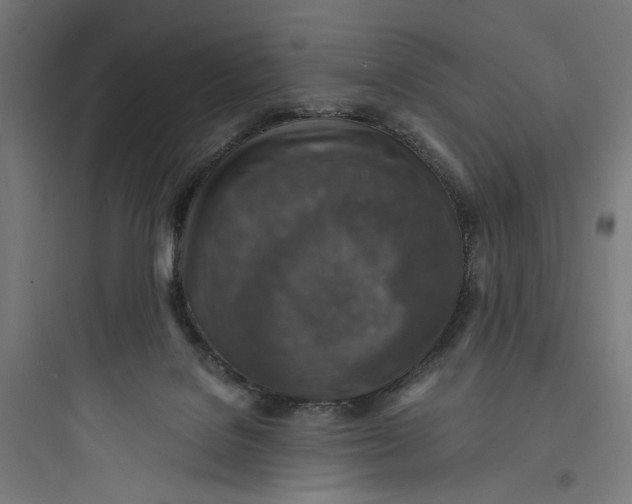 X0000093730076200711061010