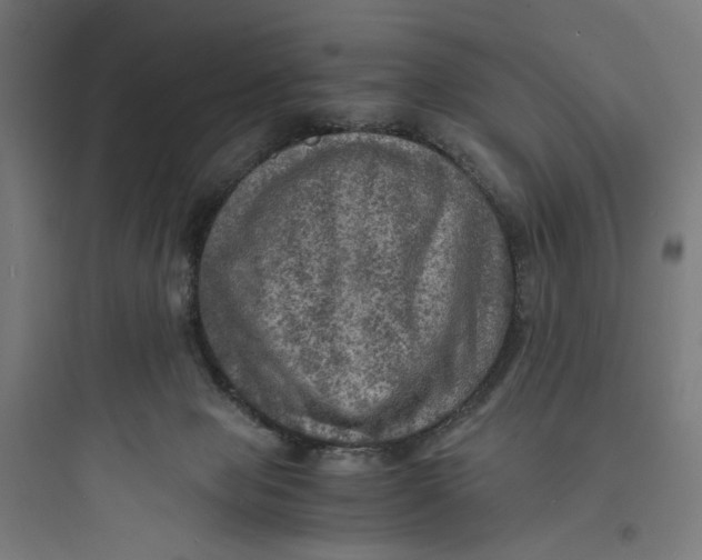 X0000093730077200711061010