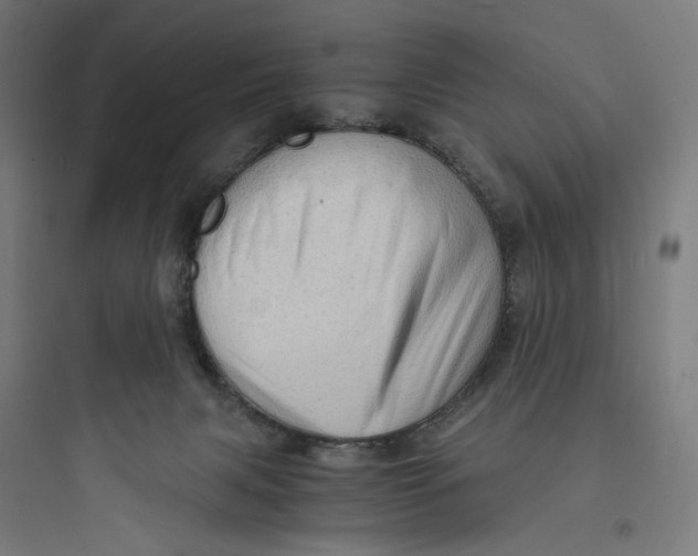 X0000093730079200711061010