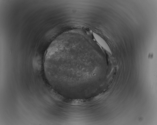 X0000093730080200711061010