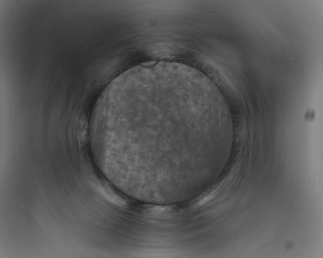 X0000093730081200711061010