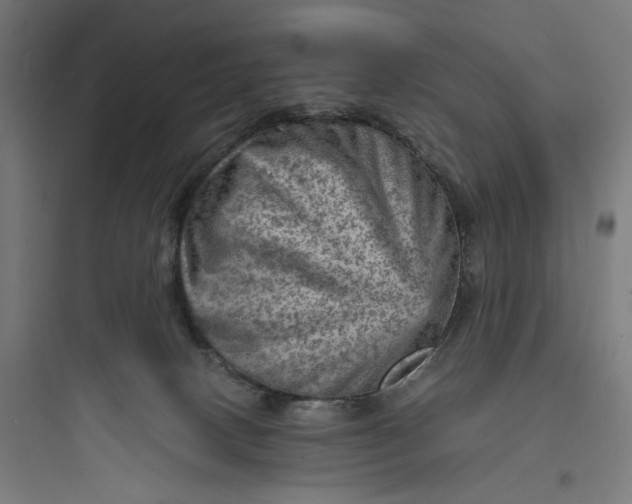 X0000093730082200711061010