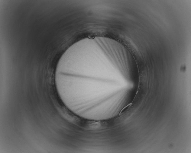 X0000093730083200711061010