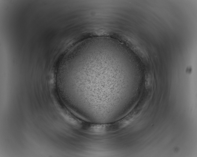 X0000093730084200711061010