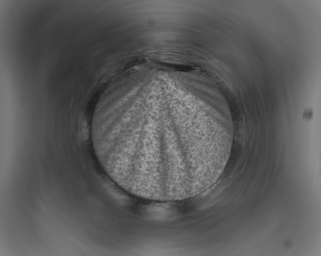 X0000093730086200711061010