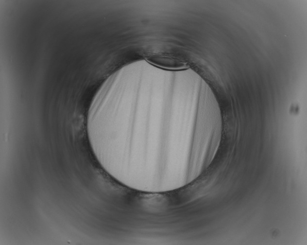 X0000093730087200711061010