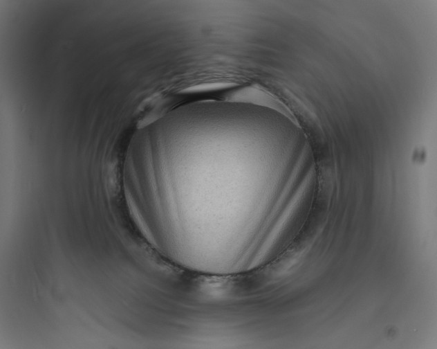 X0000093730088200711061010