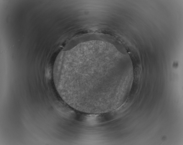 X0000093730090200711061010