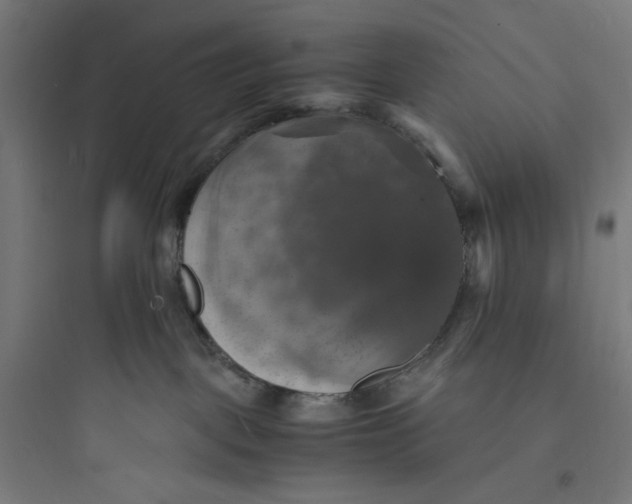 X0000093730093200711061010