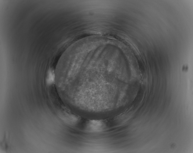 X0000093730095200711061010