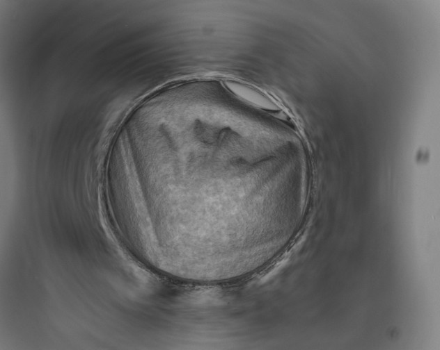 X0000093730097200711061010