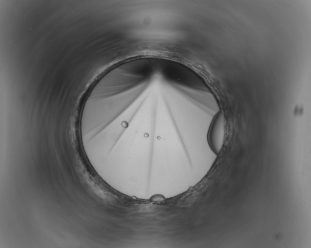 X0000093730098200711061010