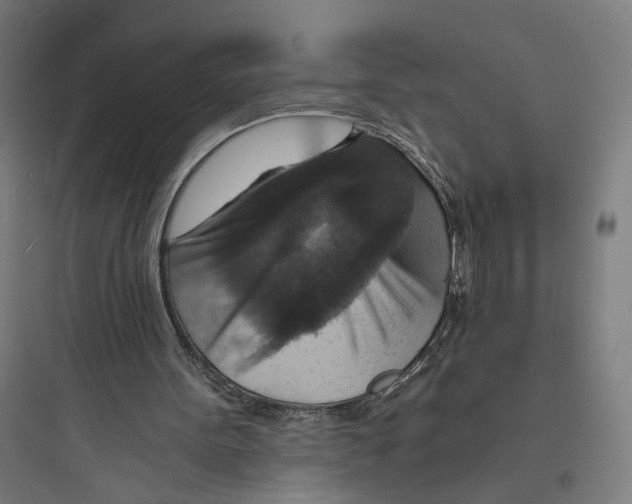 X0000093730099200711061010