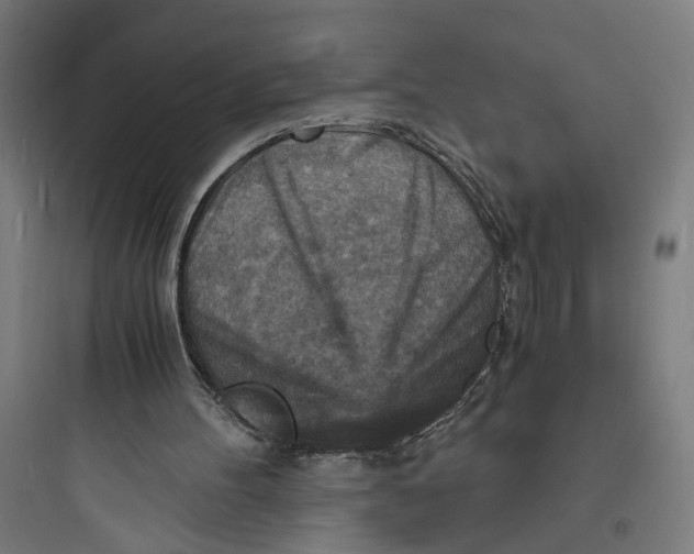 X0000093730100200711061010