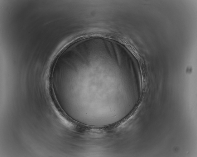 X0000093730101200711061010