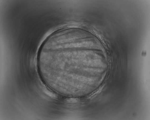 X0000093730102200711061010