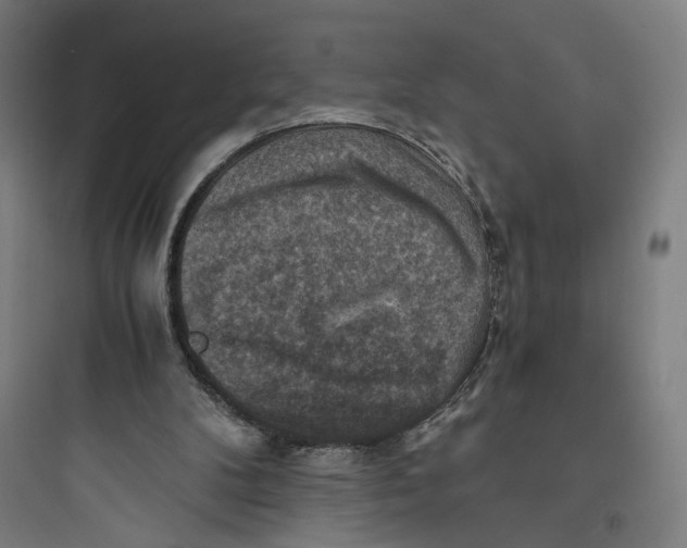 X0000093730104200711061010