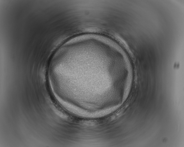 X0000093730106200711061009