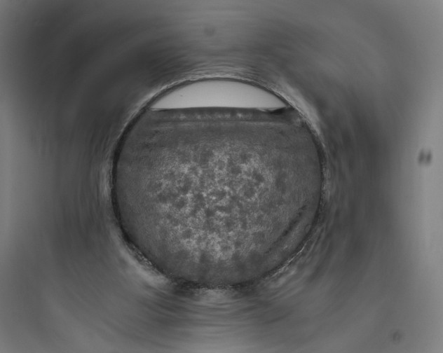 X0000093730107200711061009