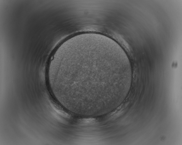 X0000093730108200711061009