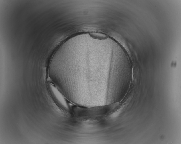 X0000093730109200711061009