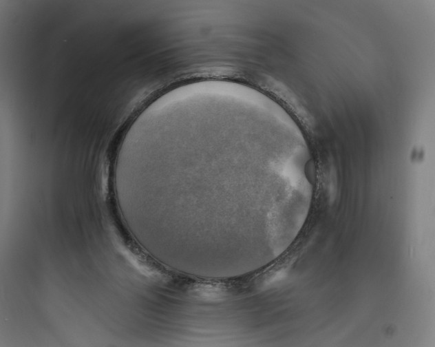 X0000093730110200711061009