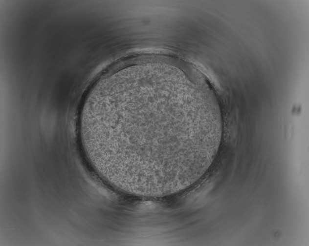 X0000093730111200711061009