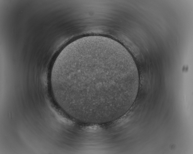 X0000093730112200711061009