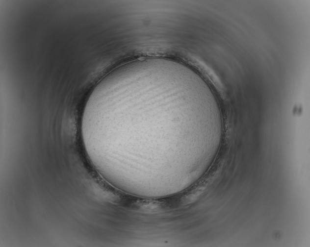 X0000093730113200711061009