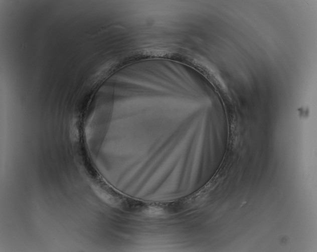 X0000093730114200711061009