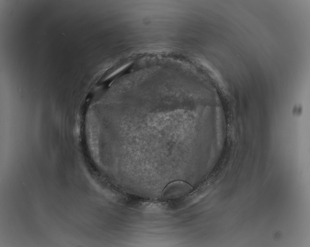 X0000093730115200711061009