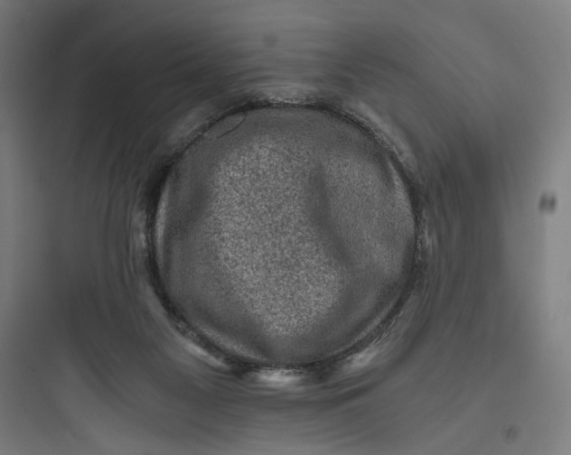 X0000093730117200711061009