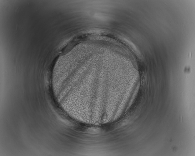 X0000093730119200711061009